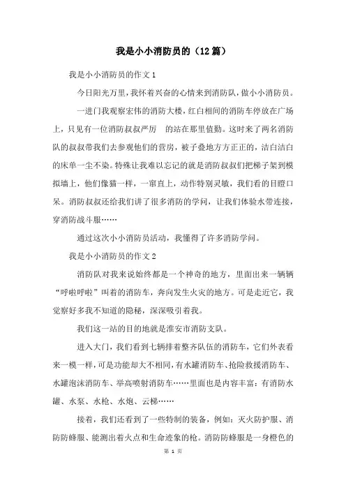 我是小小消防员的(12篇)
