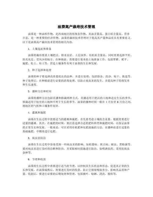 油葵高产栽培技术管理