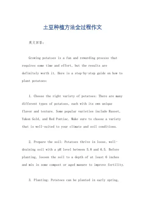 土豆种植方法全过程作文