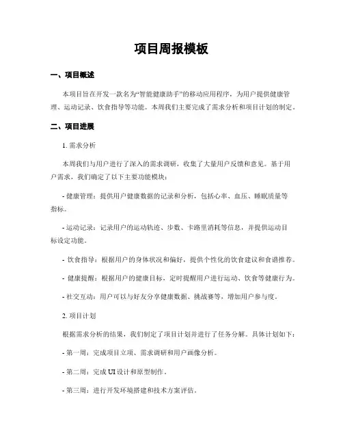 项目周报模板