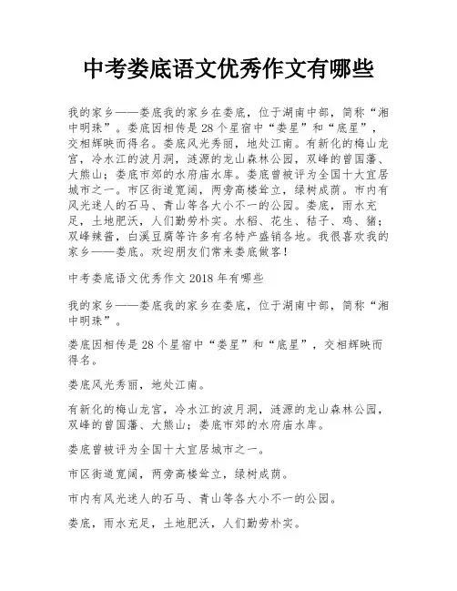 中考娄底语文优秀作文有哪些
