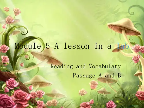 Module 5—A lesson in a lab课文翻译解析