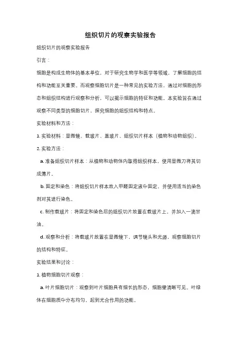 组织切片的观察实验报告