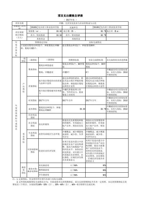 项目支出绩效自评表