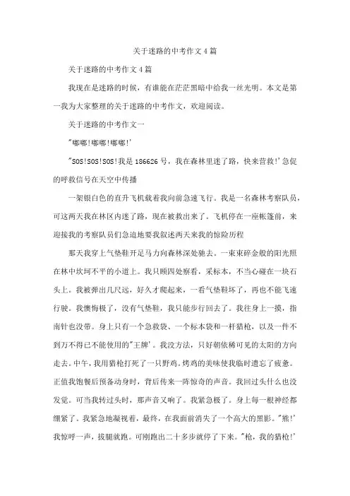 迷路的中考作文4篇