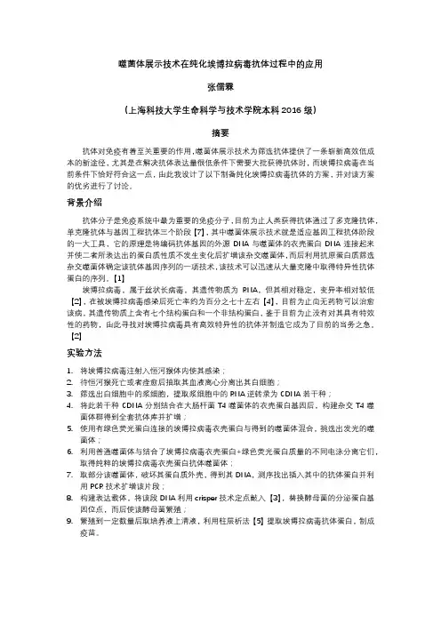 噬菌体展示技术在纯化埃博拉病毒抗体过程中的应用