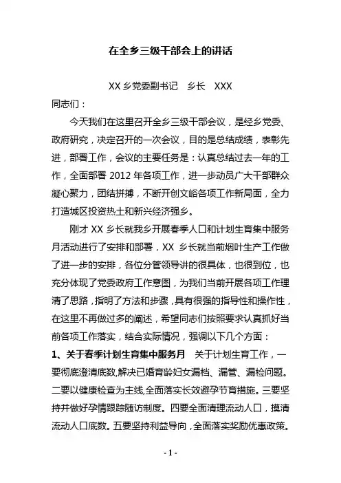 XX乡长在全乡三级干部会上的讲话稿