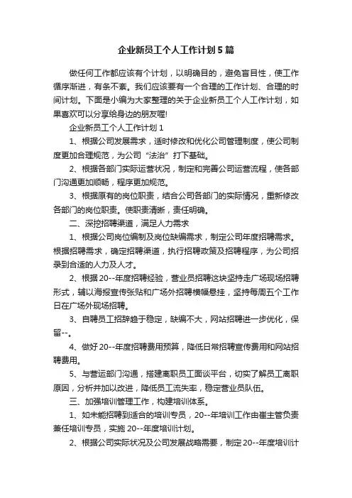 企业新员工个人工作计划5篇