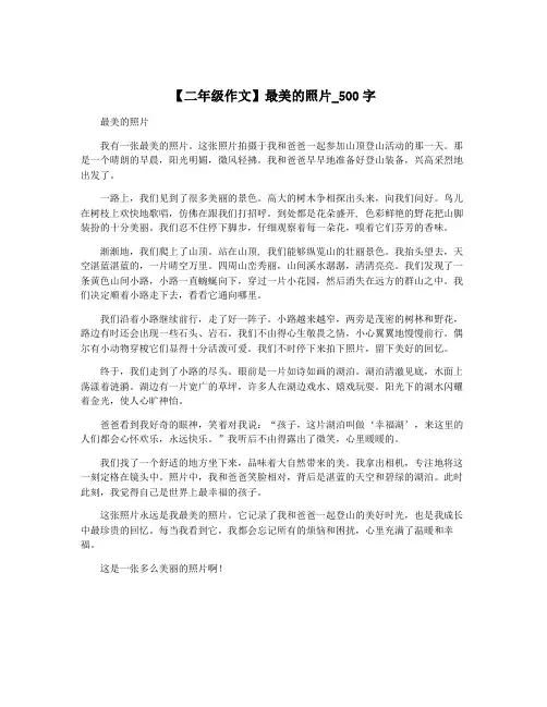 【二年级作文】最美的照片_500字