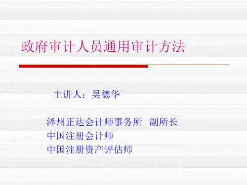 政府审计人员通用审计方法方案
