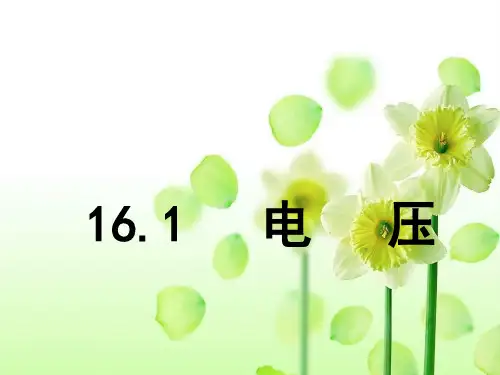 人教版九年级物理16.1电压(共34张PPT)