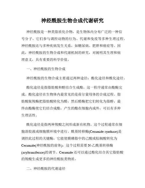 神经酰胺生物合成代谢研究