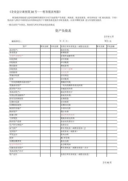 财务报表标准格式_完整版