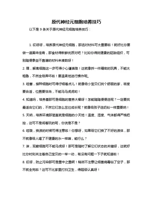 原代神经元细胞培养技巧
