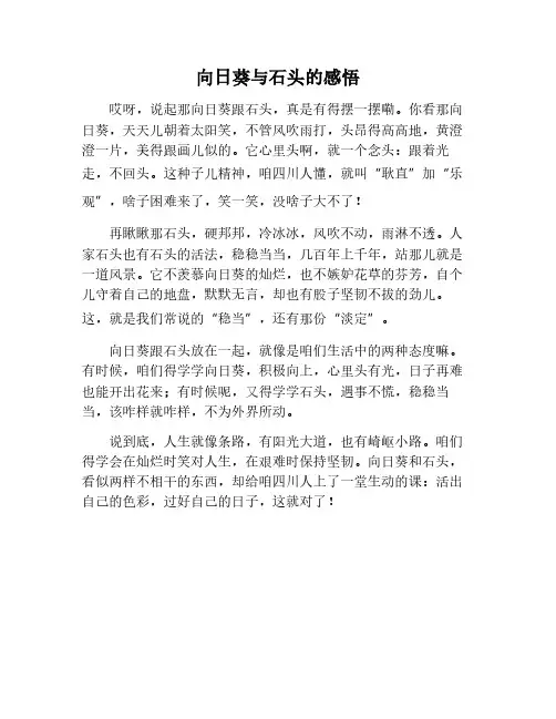 向日葵和石头读后感