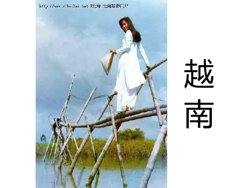 东盟十国概览-越南