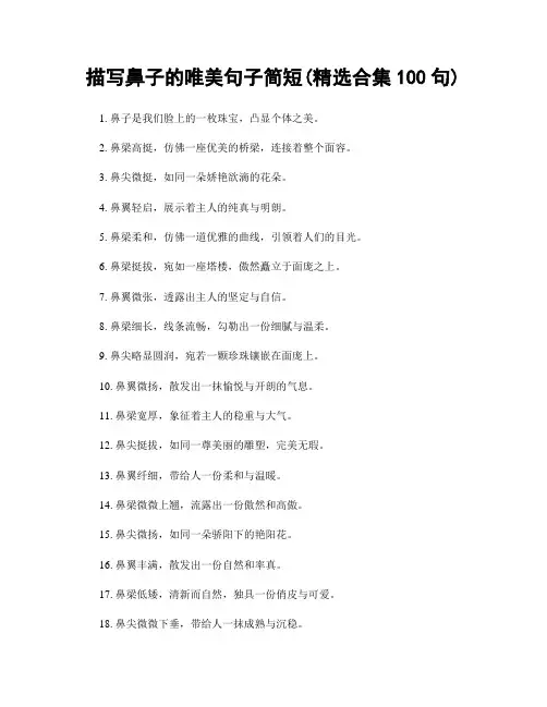 描写鼻子的唯美句子简短(精选合集100句)