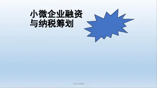 小微企业融资PPT课件