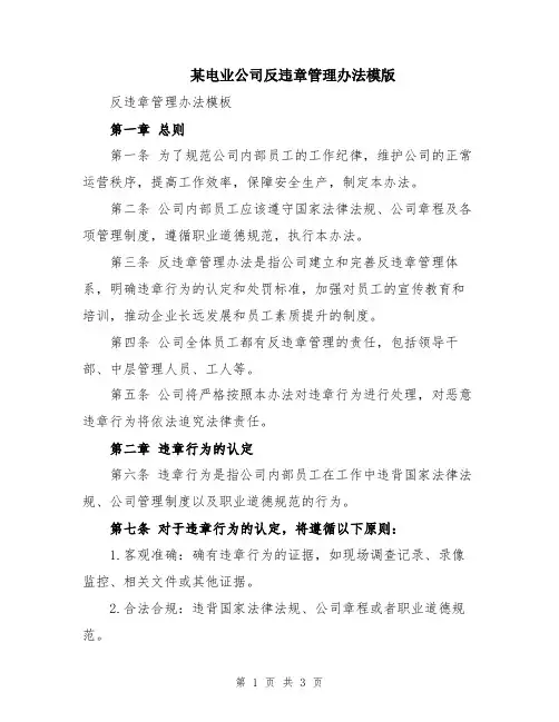 某电业公司反违章管理办法模版