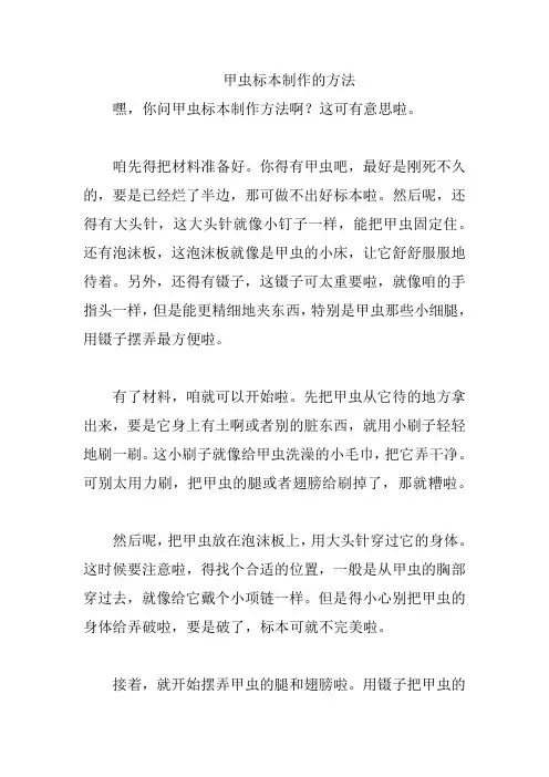 甲虫标本制作的方法
