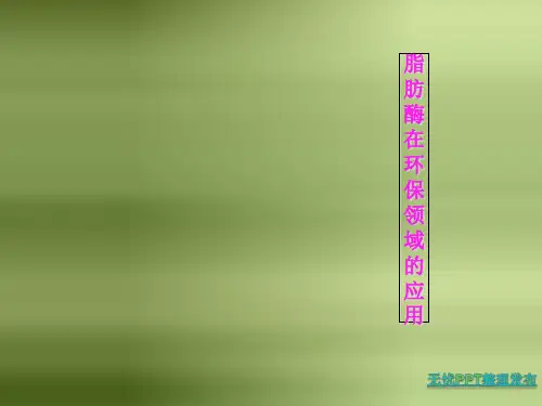 酶在环保领域的应用ppt课件
