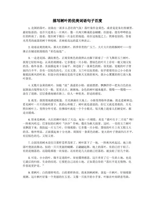 描写树叶的优美词语句子百度