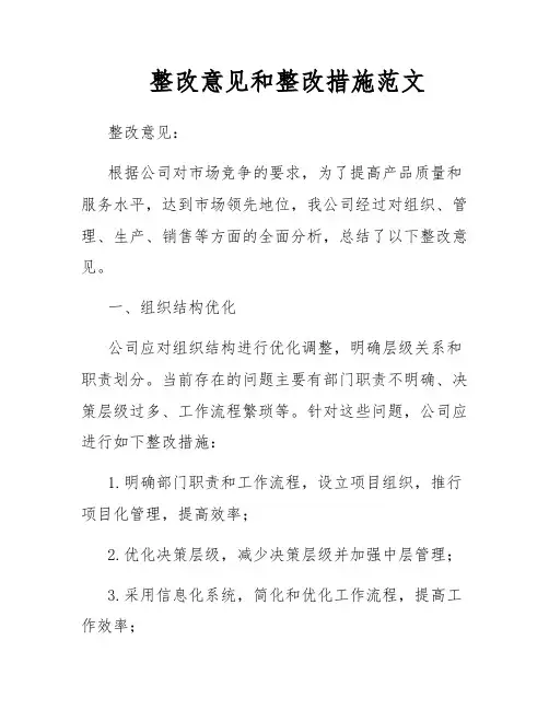 整改意见和整改措施范文