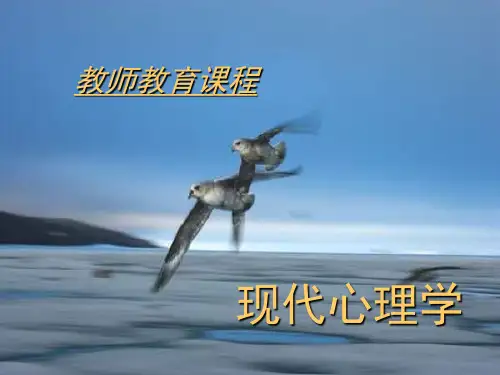 [教育学]第4章心理学《注意》