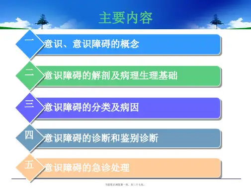 意识障碍的诊断鉴别诊断及处理