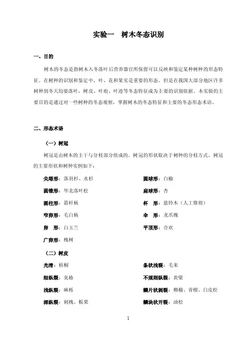 实验一树木冬态识别
