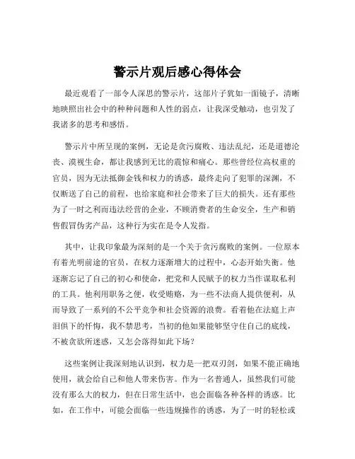 警示片观后感心得体会