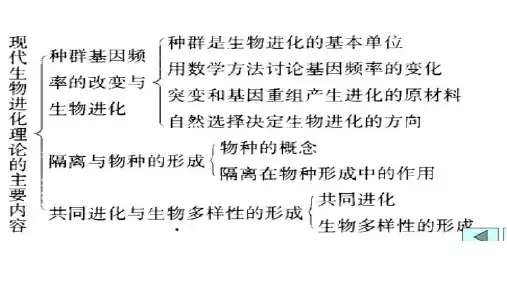 (完整)人教版生物必修二第七章现代生物进化理论的内容精品PPT资料精品PPT资料