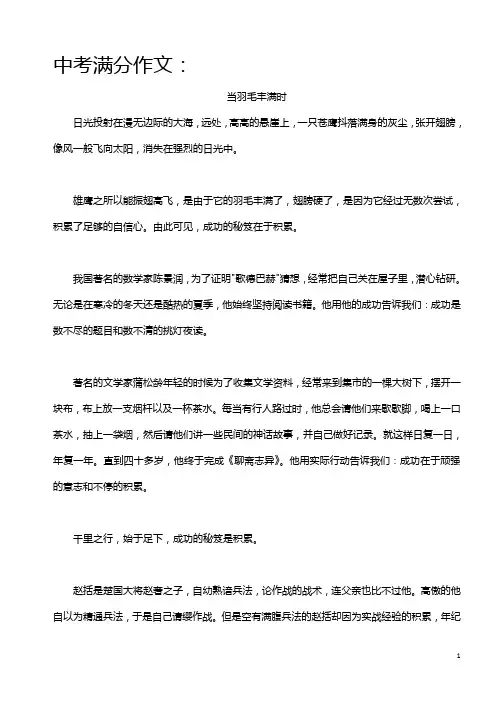 2010年河北中考满分作文