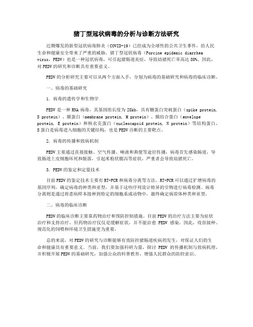 猪丁型冠状病毒的分析与诊断方法研究