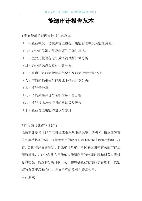 能源审计报告范本