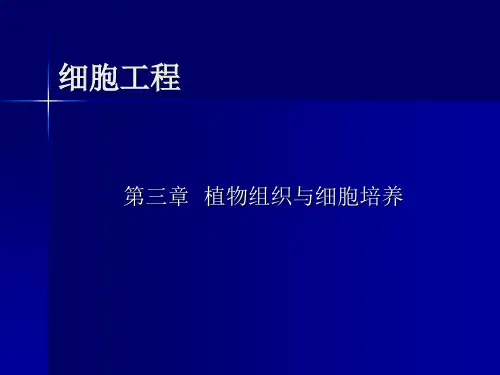 第3章 植物组织与细胞培养