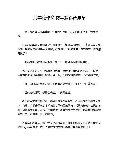月季花作文,仿写紫藤萝瀑布