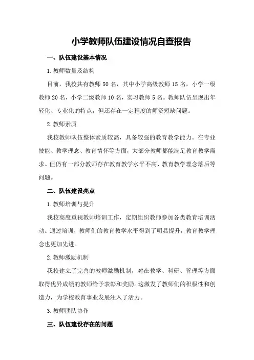 小学教师队伍建设情况自查报告