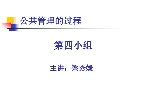 公共管理的过程