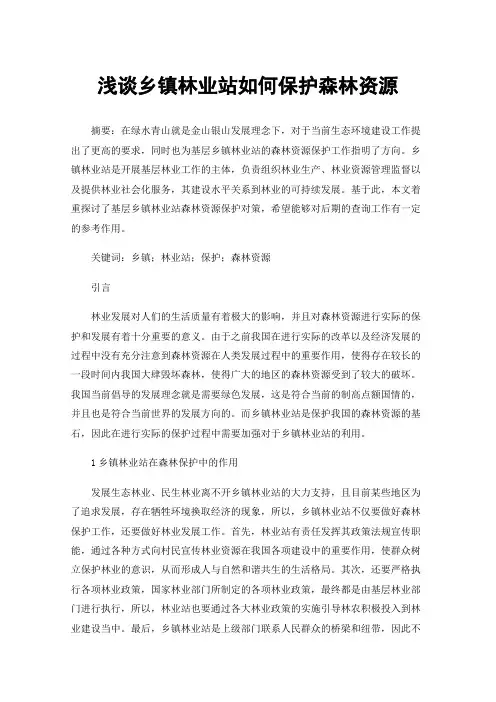 浅谈乡镇林业站如何保护森林资源