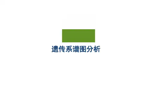 人教版高中生物必修第2册 素养提升集训2 遗传系谱图分析