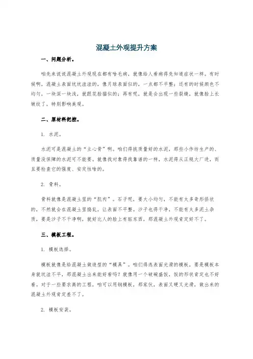 混凝土外观提升方案