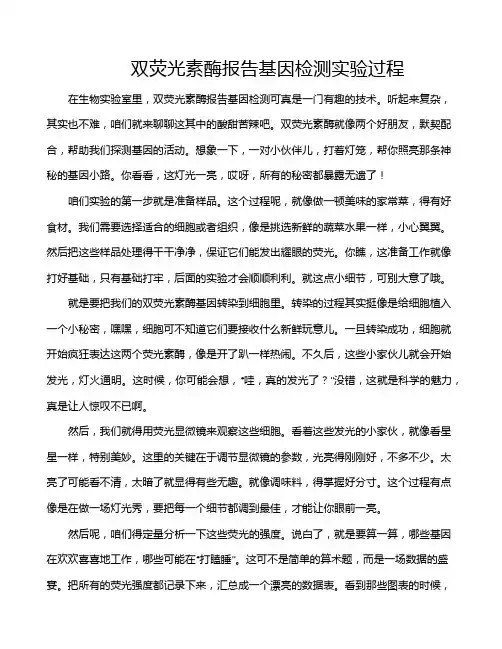 双荧光素酶报告基因检测实验过程
