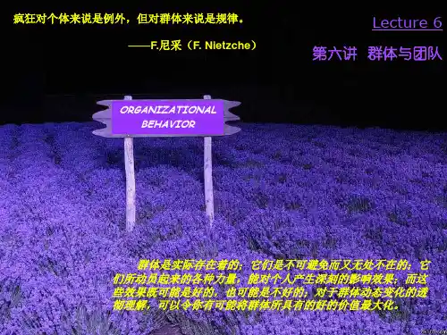 06 群体与团队