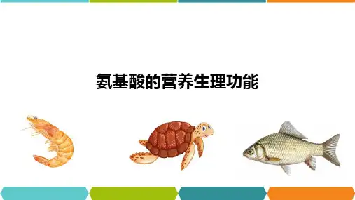 水生动物营养基础—蛋白质营养