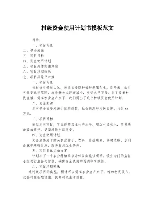 村级资金使用计划书模板范文