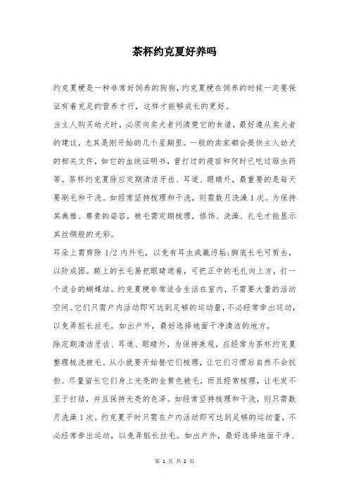 茶杯约克夏好养吗