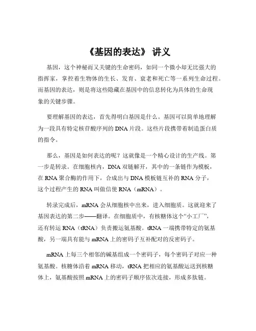 《基因的表达》 讲义