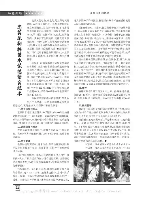 皂荚采刺林苗木快速繁育技术