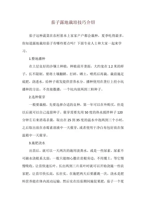 茄子露地栽培技巧介绍